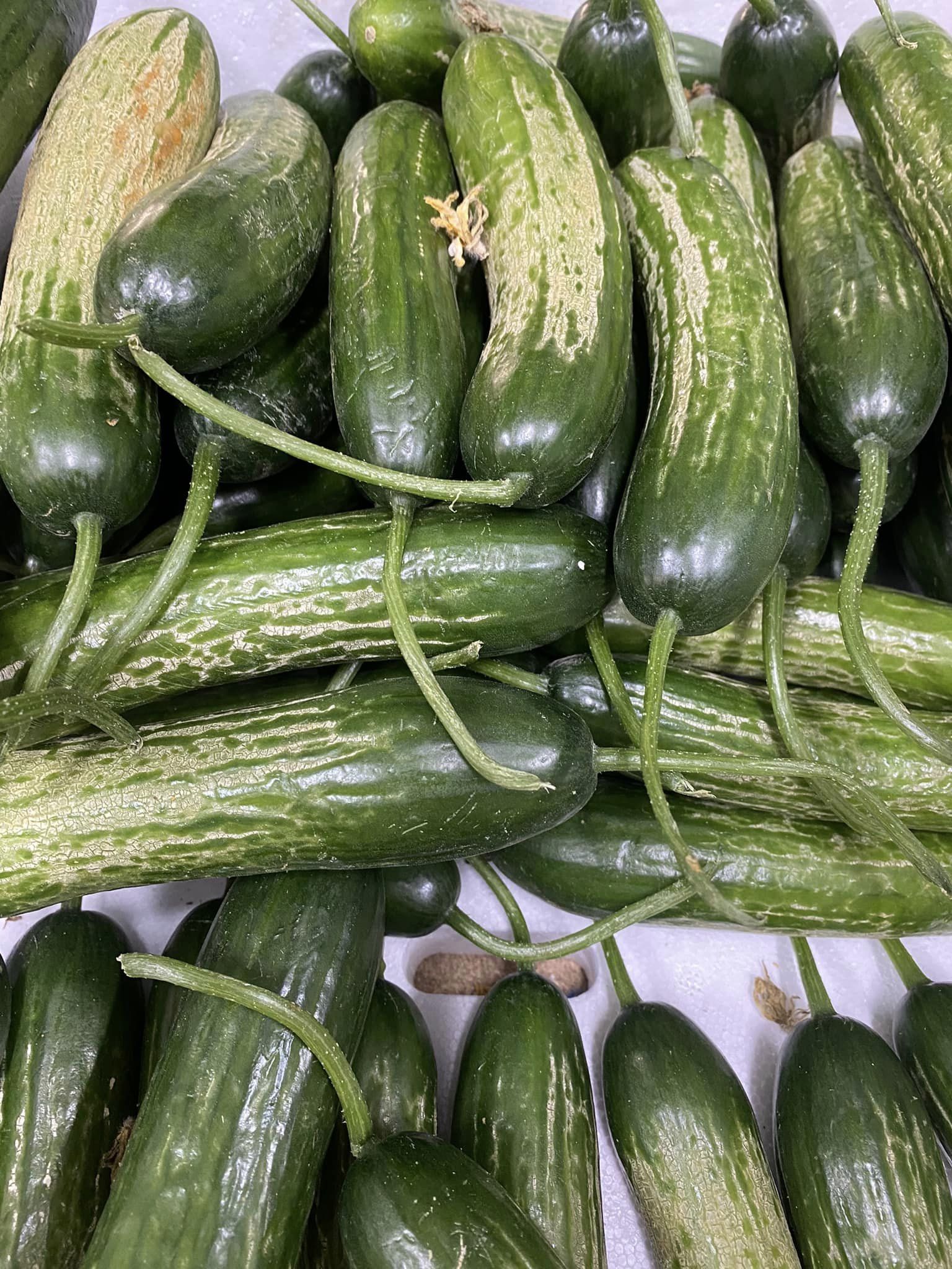 A pile of odd-shaped cucumbers